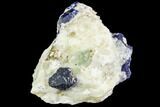 Large Lazurite Crystals in Calcite Matrix - Afghanistan #111792-3